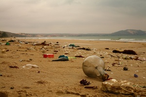 Beach with waste